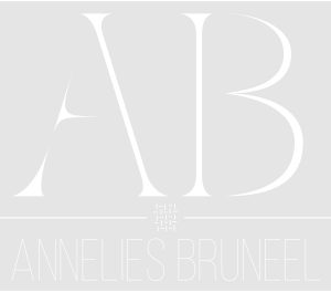 Bruneel-logo-gris